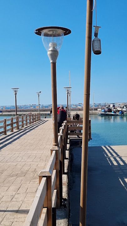 Fotoğraf 31