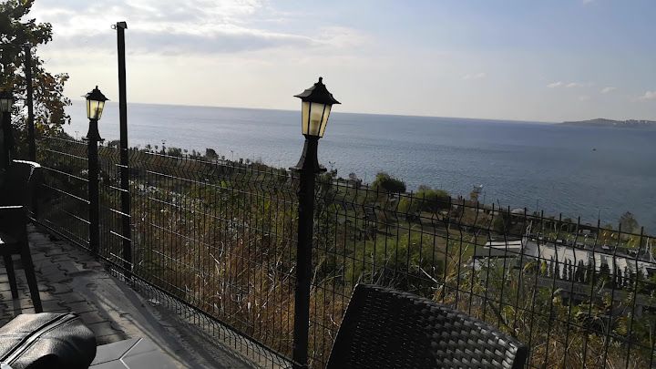 Fotoğraf 33