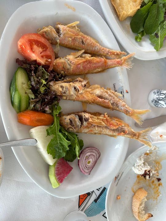 Fotoğraf 43