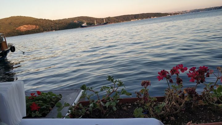 Fotoğraf 34