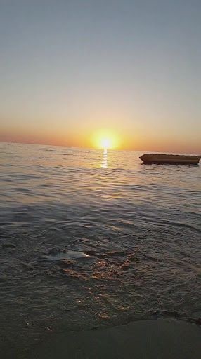 Fotoğraf 16