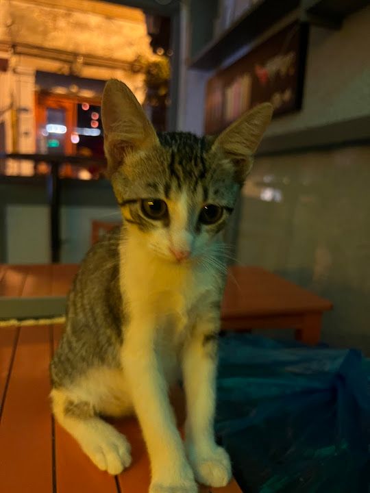 Yorum fotoğrafı 2