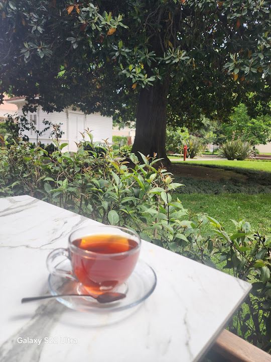 Fotoğraf 39