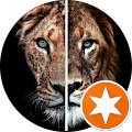 Lion Shop
