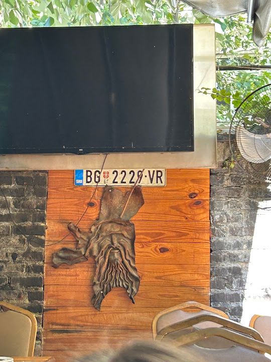Fotoğraf 37