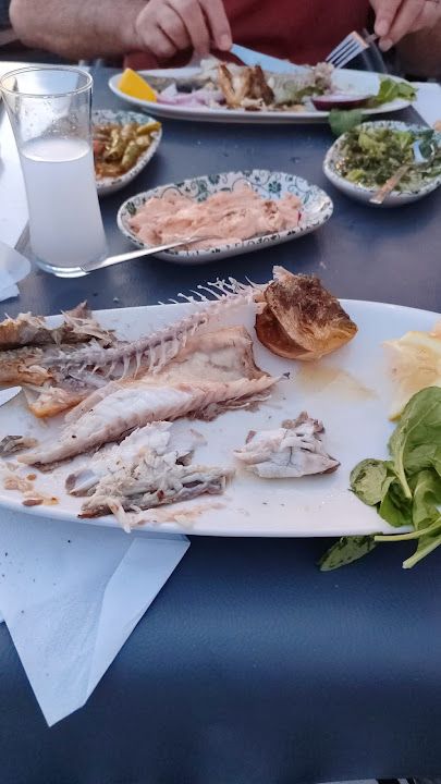 Fotoğraf 13
