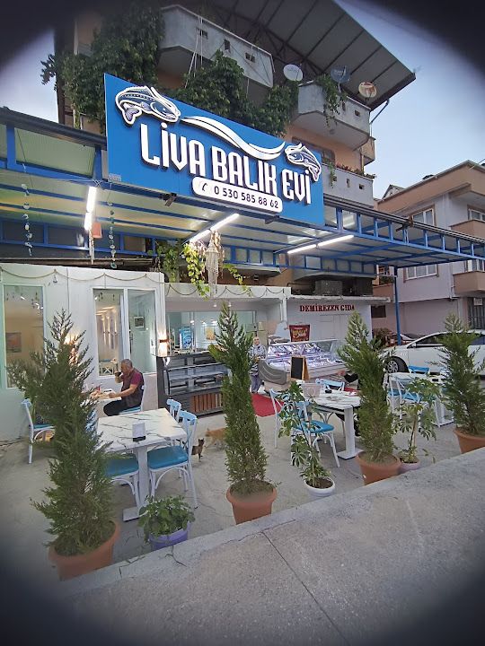 Fotoğraf 27