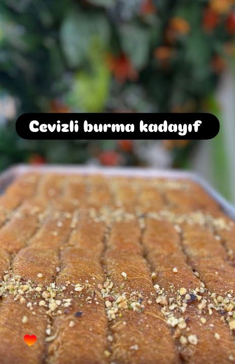 Fotoğraf 13