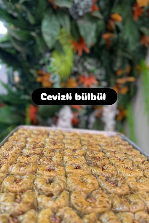 Fotoğraf 14