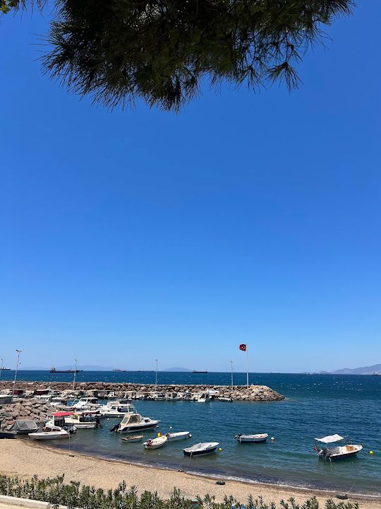 Yorum fotoğrafı 2