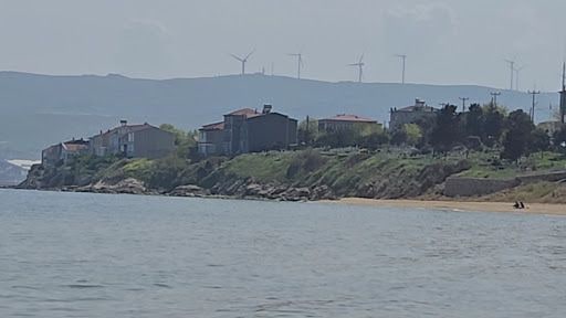 Fotoğraf 15