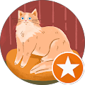 LocalExplorer