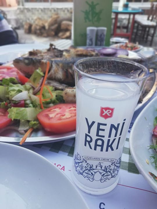 Fotoğraf 14