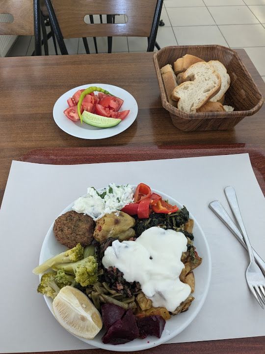 Fotoğraf 15