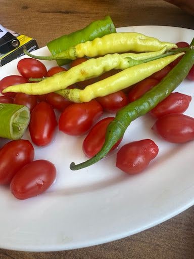 Yorum fotoğrafı 3
