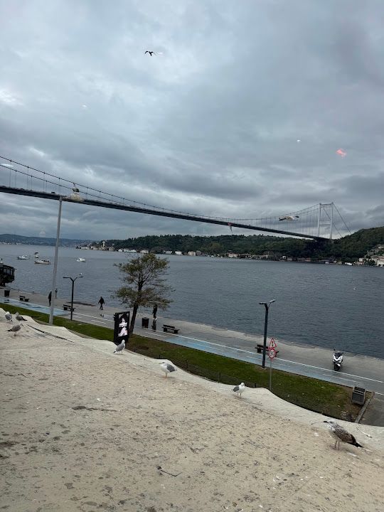 Fotoğraf 45