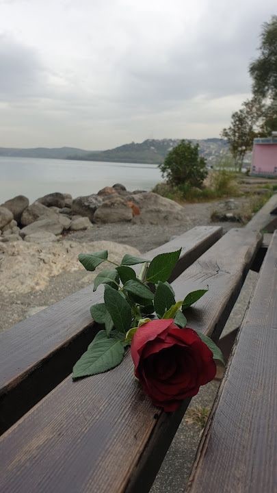 Yorum fotoğrafı 3