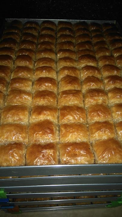 Fotoğraf 12