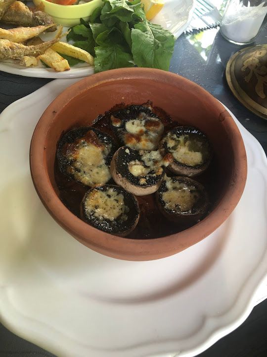Fotoğraf 17