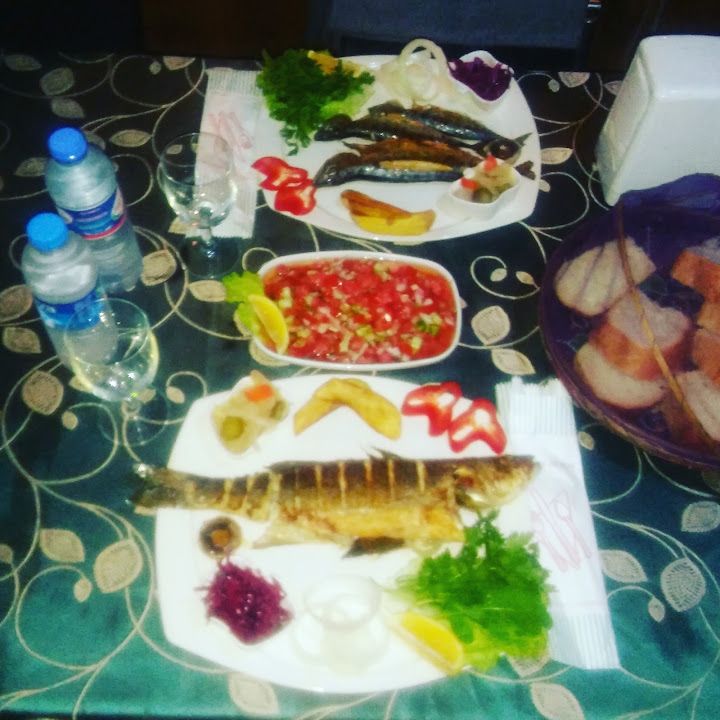Fotoğraf 13