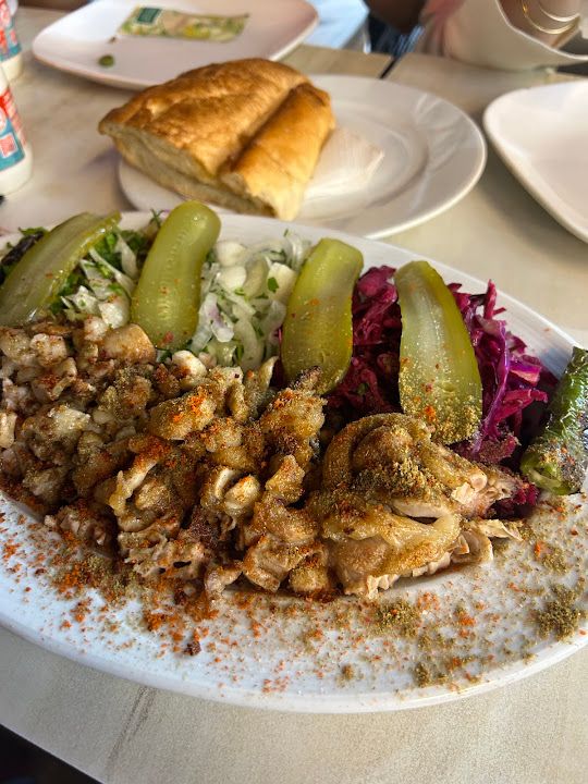 Fotoğraf 48
