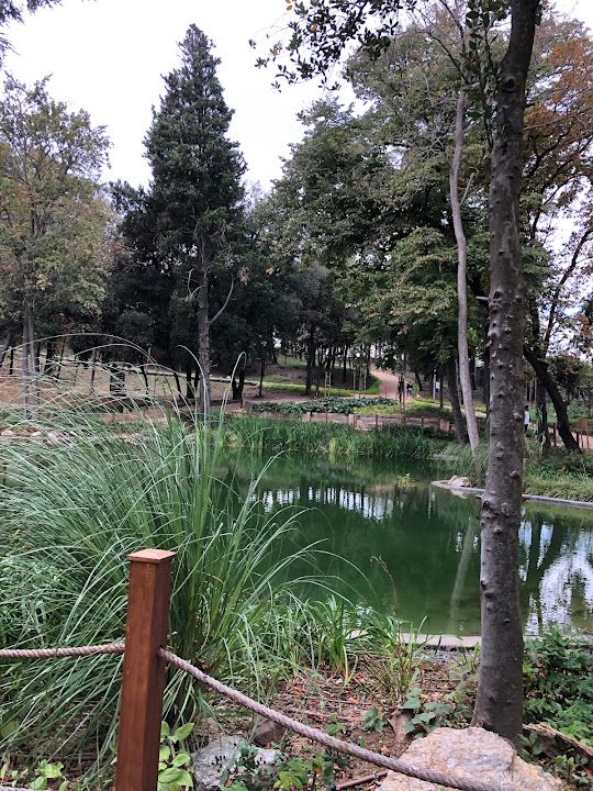 Fotoğraf 60
