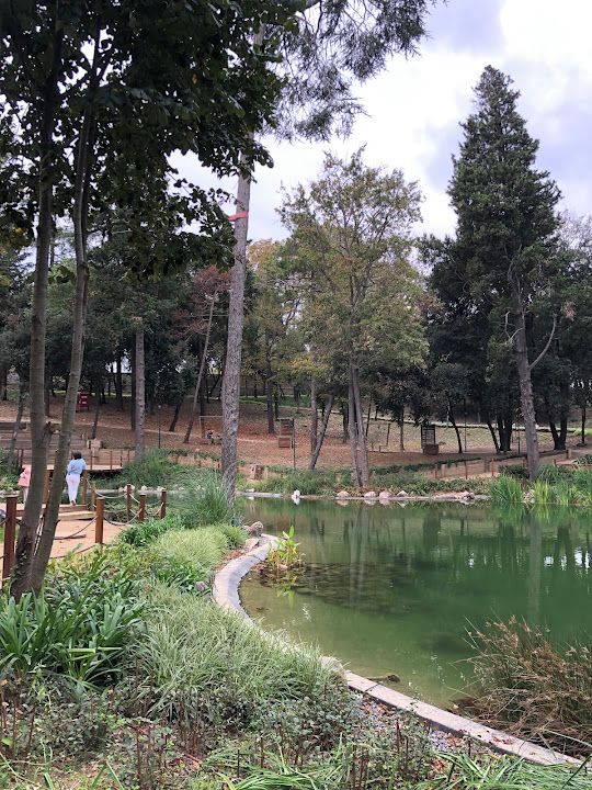 Fotoğraf 61