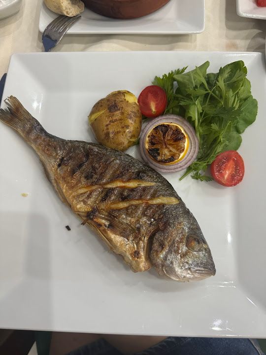 Fotoğraf 15