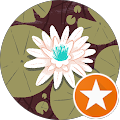 Lover Flower