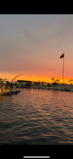 Fotoğraf 14