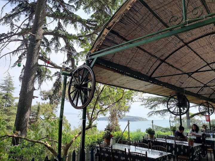 Yorum fotoğrafı 4