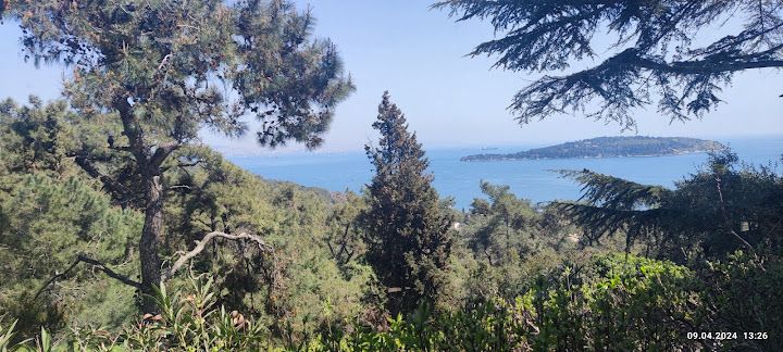 Fotoğraf 52