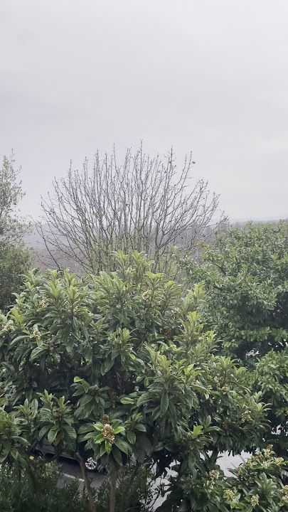 Fotoğraf 51