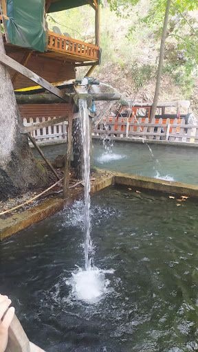 Yorum fotoğrafı 6