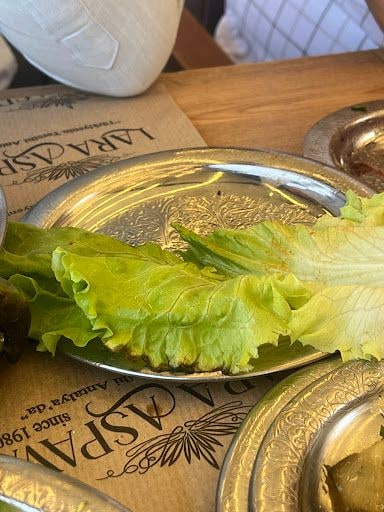Fotoğraf 17