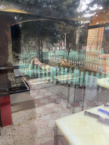Yorum fotoğrafı 5