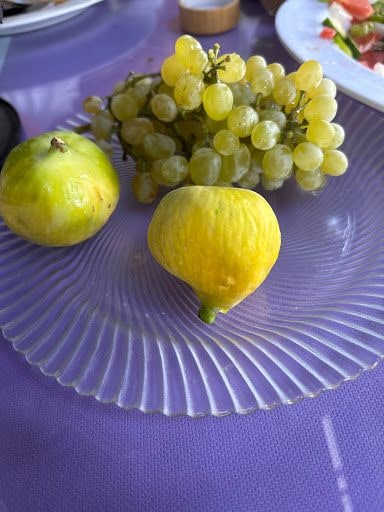 Fotoğraf 26