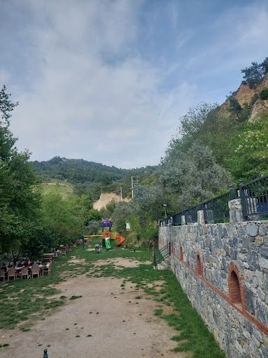 Fotoğraf 39