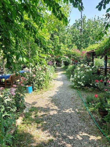 Fotoğraf 32
