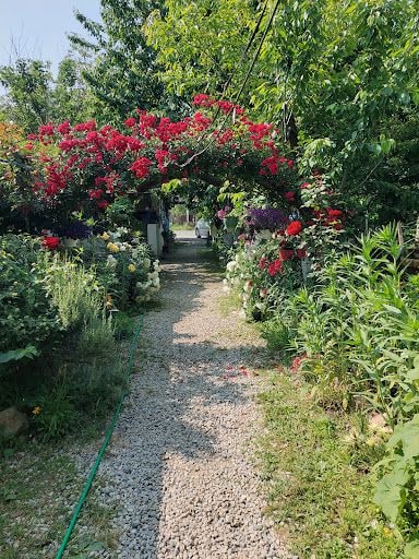 Fotoğraf 35