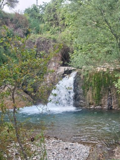Fotoğraf 38
