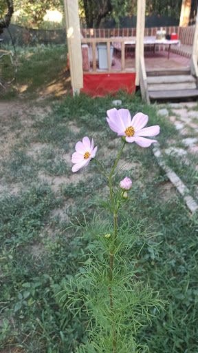 Fotoğraf 22