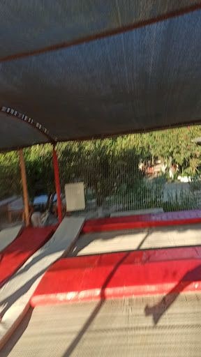 Fotoğraf 23