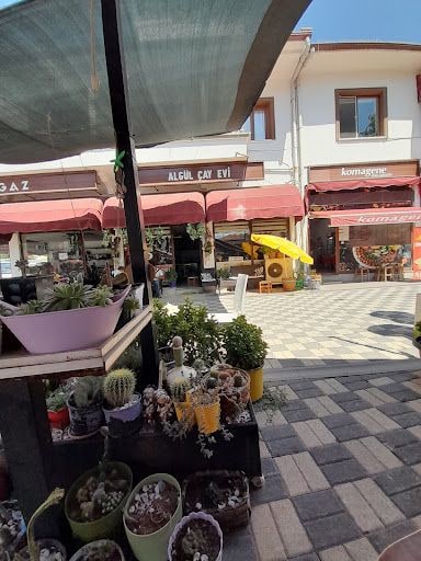 Yorum fotoğrafı 2