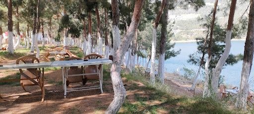 Fotoğraf 21