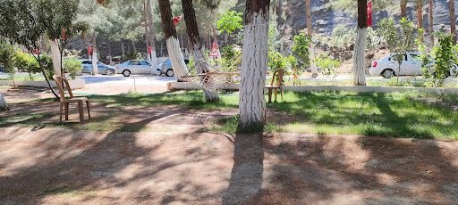 Fotoğraf 22