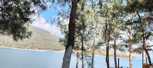 Fotoğraf 23