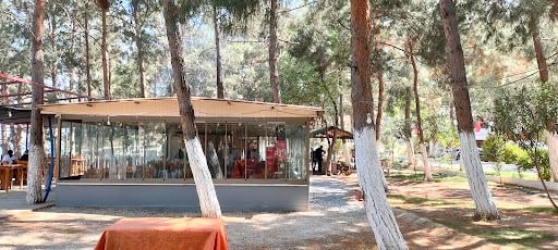 Fotoğraf 24