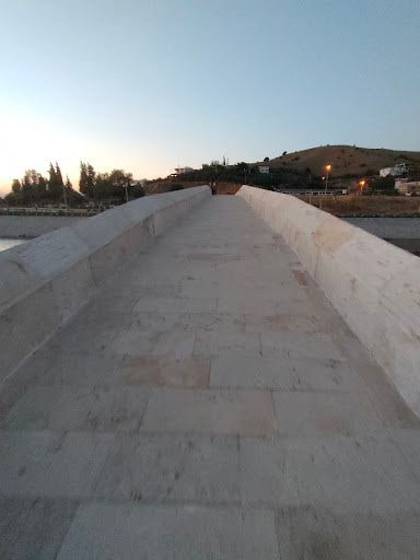 Fotoğraf 23