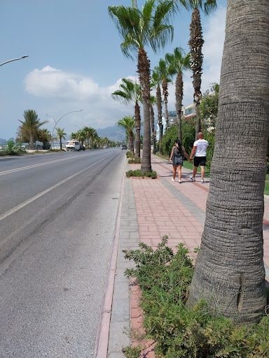 Yorum fotoğrafı 6
